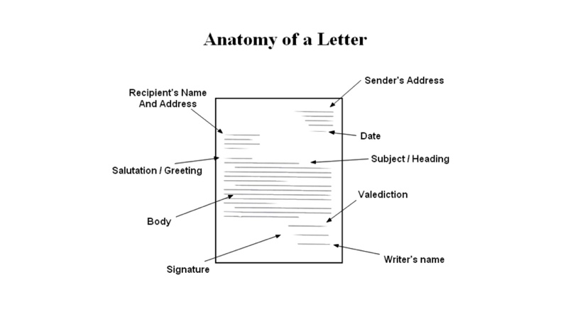 yardstick-books-anatomy-letter