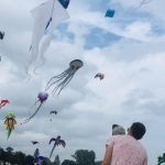 Algoma, WI Soar on the Shore Kite and Beach Festival